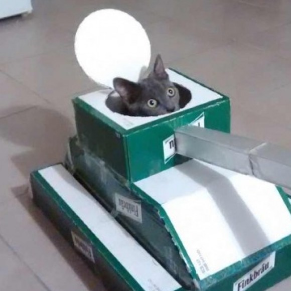 Profile picture of Jim Johnson