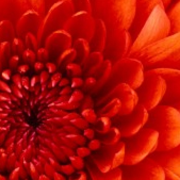 Profile picture of Maria