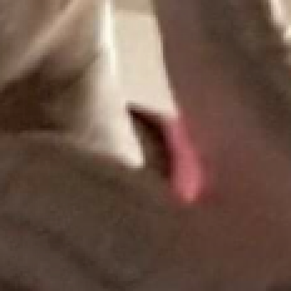 Profile picture of Richard