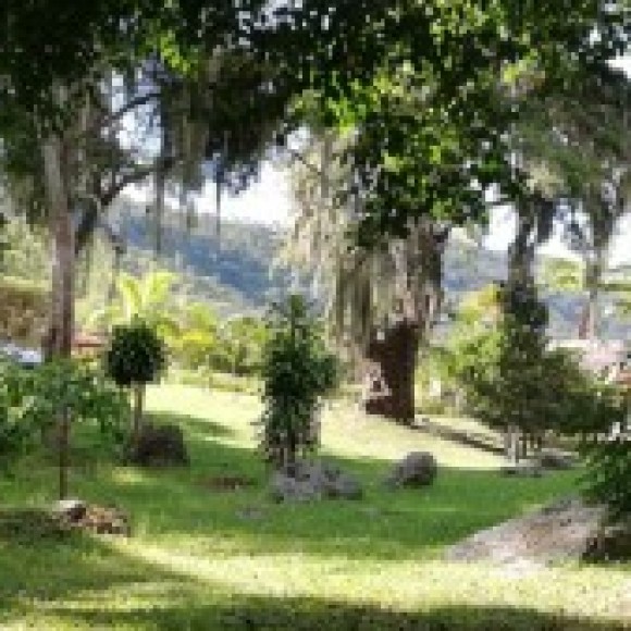 Profile picture of Dayana