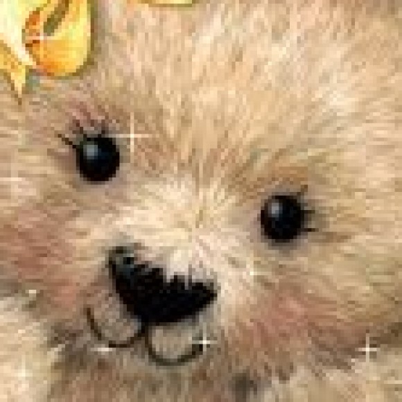 Profile picture of Toncon Sua