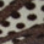 Profile picture of Paola