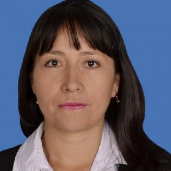 Profile picture of Judy Astrid Arias Sosa