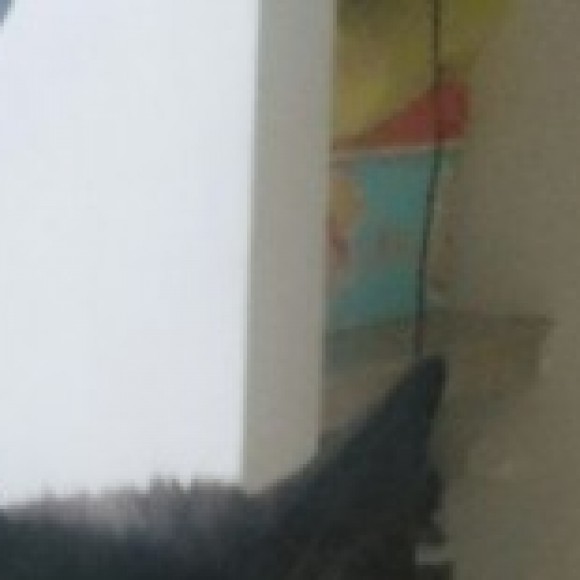 Profile picture of Conny