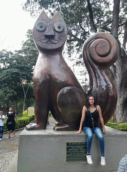 f245c5db-90e8-4275-9fb4-1d305451f2bf