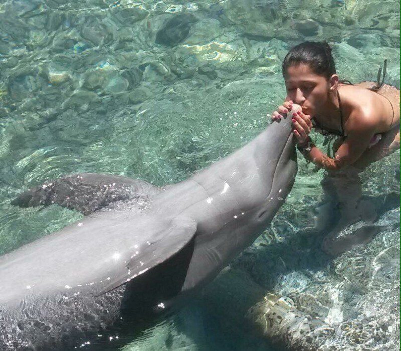 65a54432-6d43-4b64-ae31-ebda4ec611a2