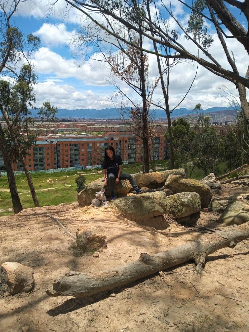 img_20210404_115341518-2