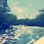 IMG_20150905_120606