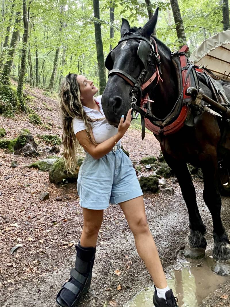 d24223a2-89ae-4ff0-909d-cf57d8766ef5