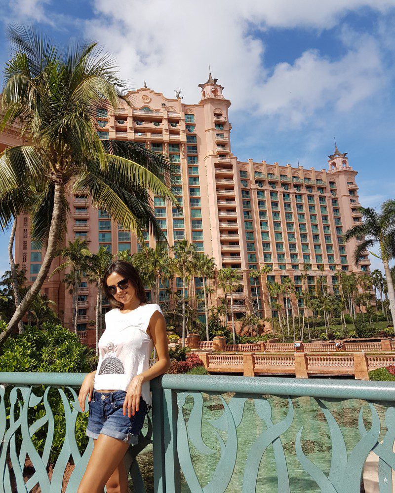 img_20170204_004335_629