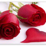 7F4F62F6-02E8-4320-B98C-F64AEA4BDCE8