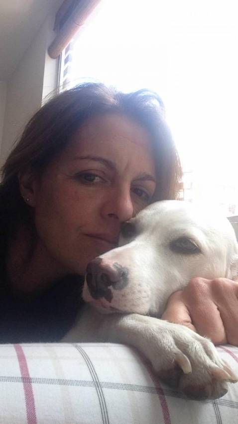 1855fb55-713d-4492-beea-14f57a18cdfb