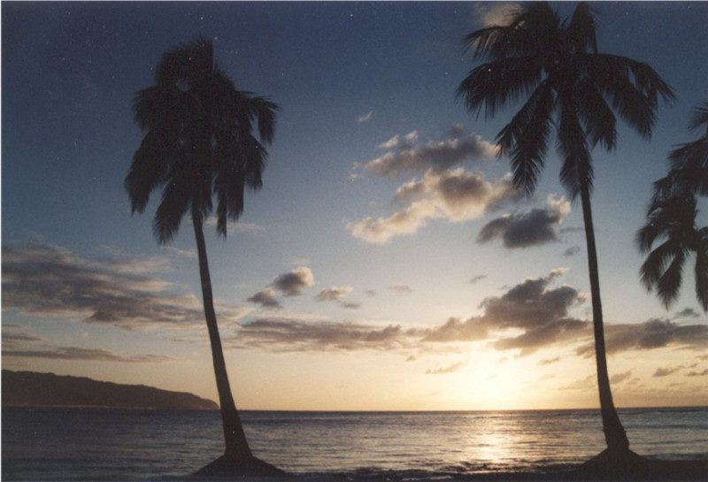 aloha2