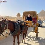 Pronk 4 – Giza, Egypt 2022 (2)