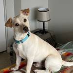 840CB410-DBD0-4B78-8467-CB306AFDF9B5_1_105_c