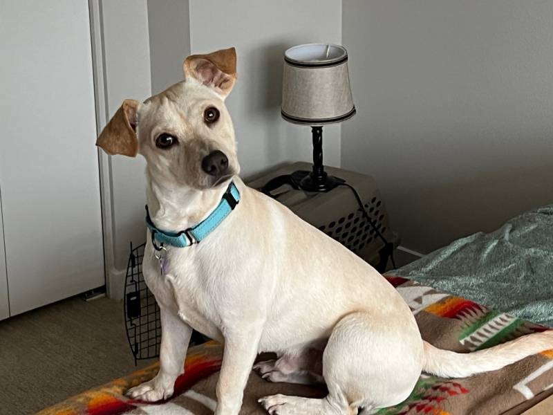 840cb410-dbd0-4b78-8467-cb306afdf9b5_1_105_c