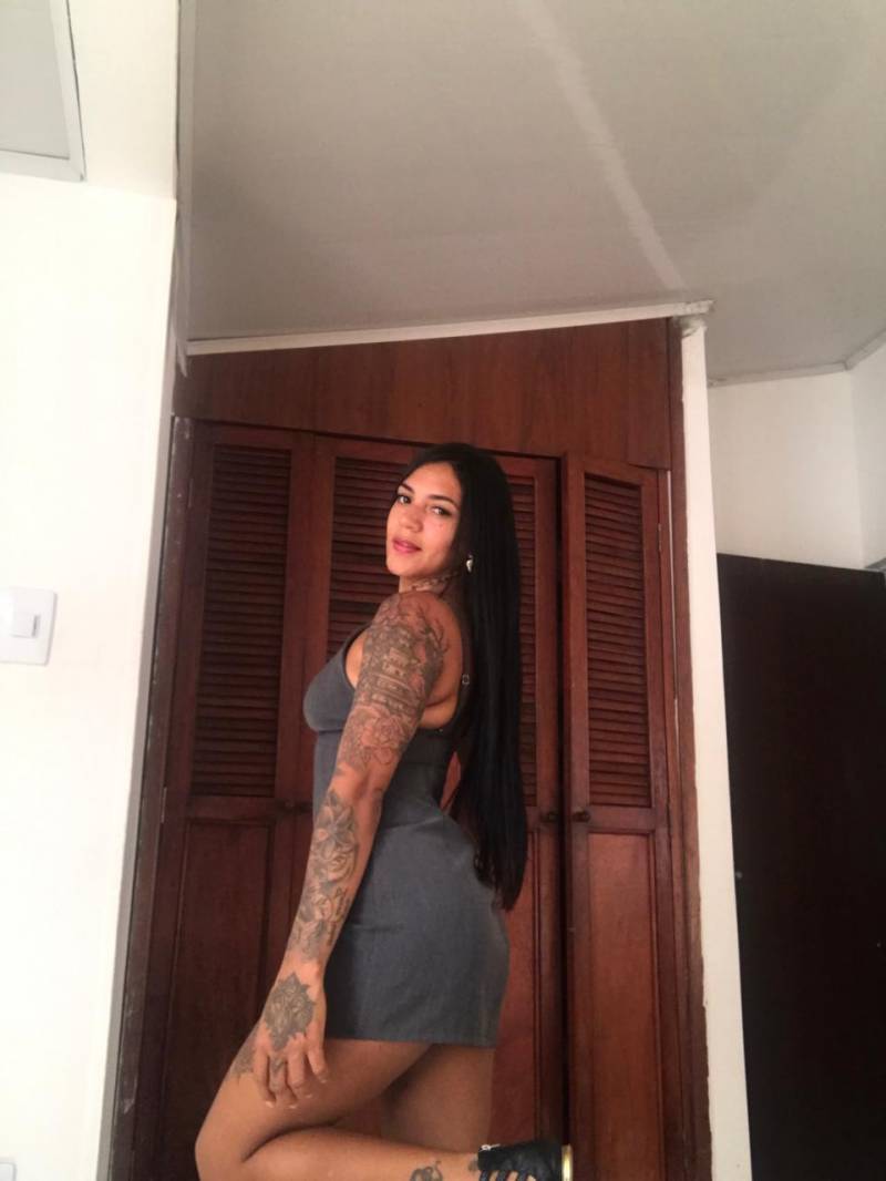 whatsapp-image-2026-01-29-at-17-6