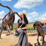 WhatsApp Image 2026-03-3329 at 18