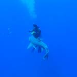 IMG_20240912_175846