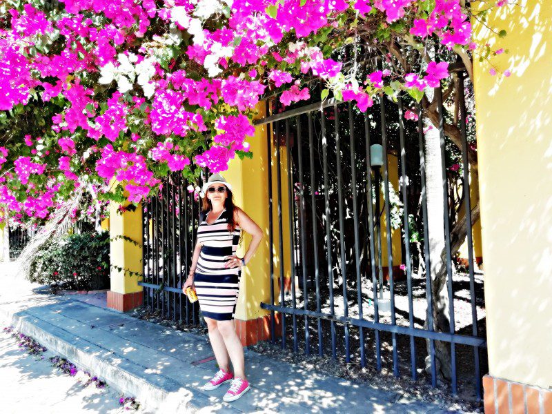 img_20190118_125810-111